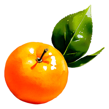 Fresh Orange with Leaf in Watercolor Style png
