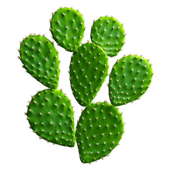 Fresh Green Prickly Pear Cactus Pads png