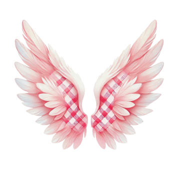 A pair of delicate pink angel wings featuring a red and white checkered pattern, perfect for romantic or fantasy designs. png