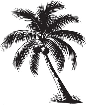 Coconut Plum Tree Silhouette Download Palm Clipart vector