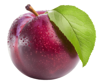 Red Plum with Leaf png