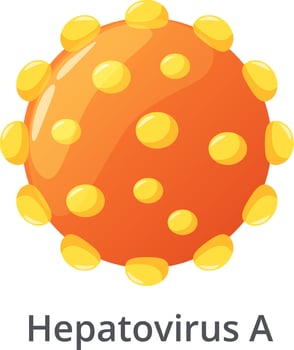 Hepatitis A virus causing inflammation of the liver, showing symptoms like fever, jaundice, and abdominal pain, requiring medical attention and preventive measures like vaccination vector