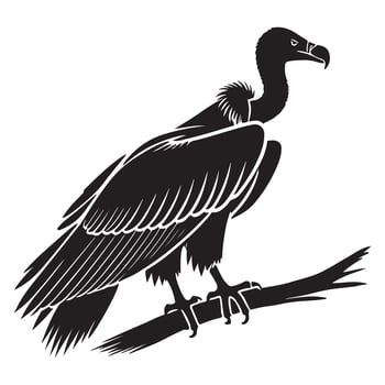 Powerful Vulture Silhouette Perched on Branch vector