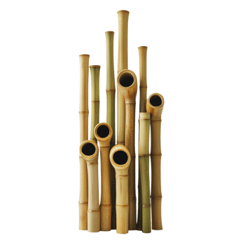 Bamboo stalks arranged in an artful vertical display png
