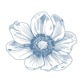Botanicasl blue wedding flower on white background. Hand drawn floral, flower and leaf branch in toile de jouy style. Line art for wedding, monogram, invitation, greeting, logo, birthday cards vector