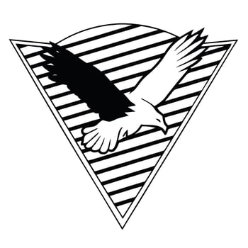 Retro eagle logo design vector