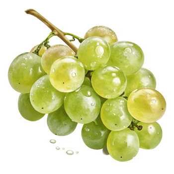 A cluster of green grapes with a translucent, glossy surface, showcasing natural highlights png