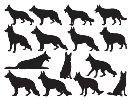 German Shepherd silhouette white background vector