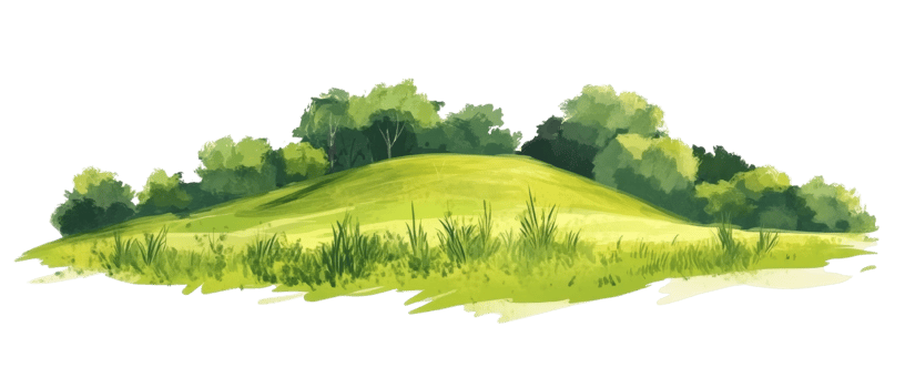 Green Hill Landscape with Lush Trees and Grass png