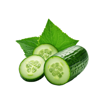 Fresh green cucumber with slices and leaf on transparent background png