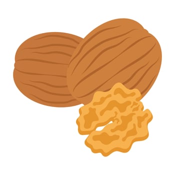 Nowruz Celebration Symbols and Foods vector