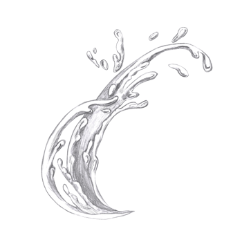Splashes in pencil. Isolated illustration in realistic style for restaurant menu design, interior decoration, packaging printing. png