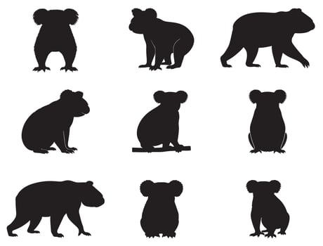 Koala silhouette white background vector
