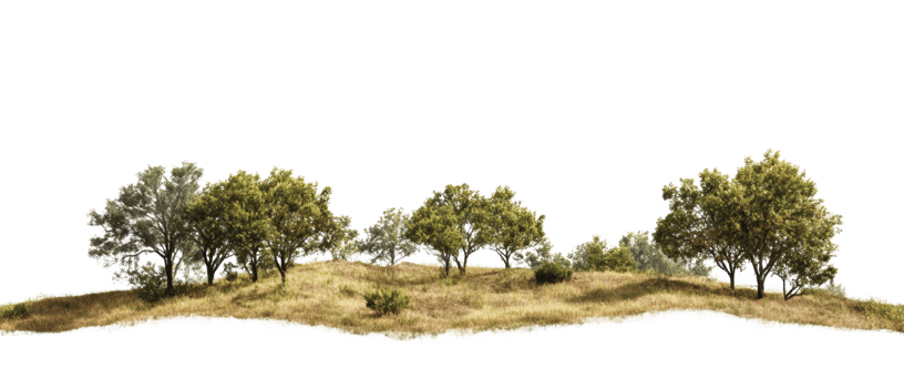 Trees on a grassy hill landscape scene png