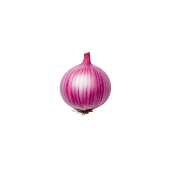 Fresh red onion with distinct purple and white layers on a reflective surface. png