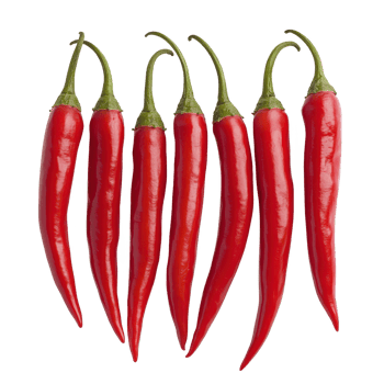 Seven vibrant red chili peppers arranged in a row, showcasing fresh and spicy produce. png