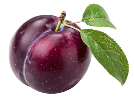 A deep purple plum with a smooth, glossy skin and a natural bloom. png
