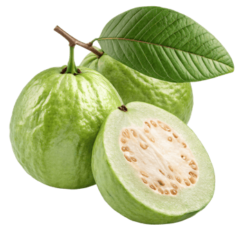 A green guava with a smooth, matte skin and a fresh, tropical appearance. png