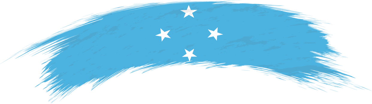 Flag of Micronesia in rounded brush stroke. png