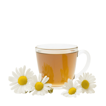 A cup of herbal tea with chamomile flowers on a white isolated background. png