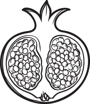 Pomegranate symbol of righteousness outline black illustration vector