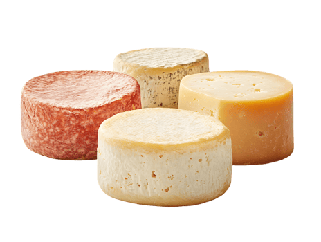 Artisan Cheese Selection Four Cylindrical Cheeses png