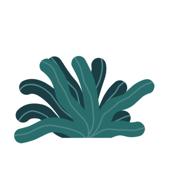 Simple Cute Green Grass png
