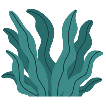Green Lawn Illustration png