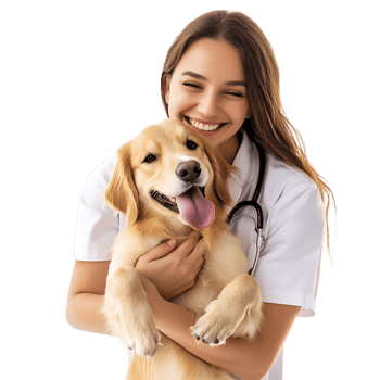 PNG Smiling Veterinarian Holding a Cute Dog Against Transparent Background