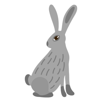 Sitting cartoon single grey rabbit isolated illustration png