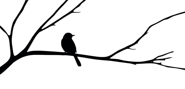 Bird on tree branch silhouette illustration with a white background vector
