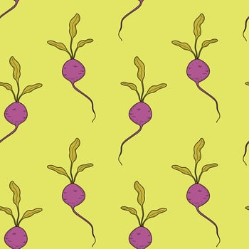 Pattern with beets on a yellow background. Vegetable seamless pattern with beet, radish, radish, root vegetable vector