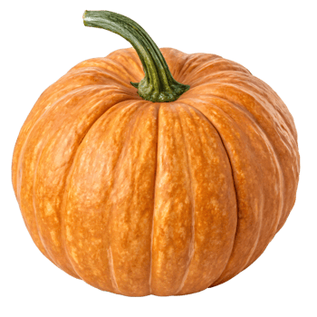 A large, orange pumpkin with a ribbed, matte surface and a sturdy green stem. png