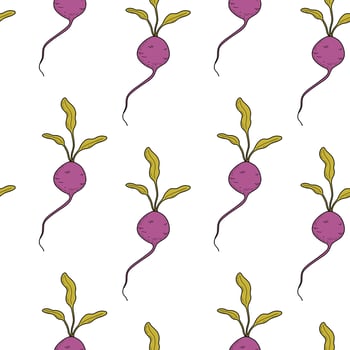 Pattern with beets on a white background. Vegetable seamless pattern with beet, radish, radish, root vegetable vector