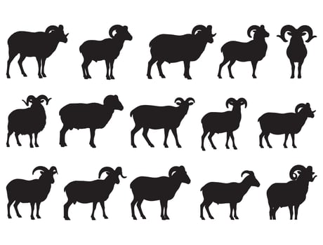 Ram silhouette white background vector