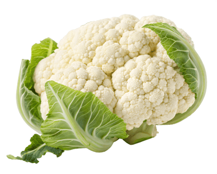 A white cauliflower with tightly packed, curd-like florets and fresh green leaves at the base. png