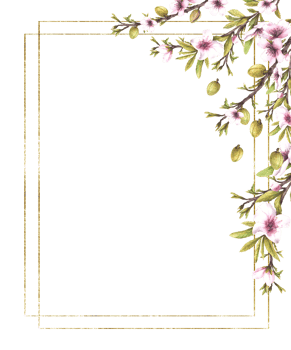 Almond tree branch with green nuts, leaves and flowers Floral gold framed banner. Watercolor painted illustration. Floral spring template for greeting card, product cosmetic label. Isolated background png