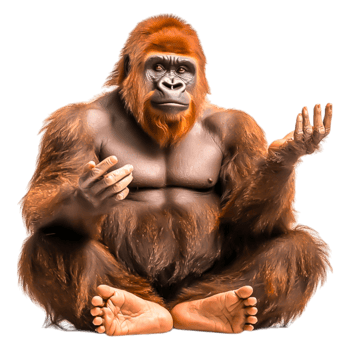 Majestic Gorilla Sitting with Thoughtful Expression in Forest Setting png