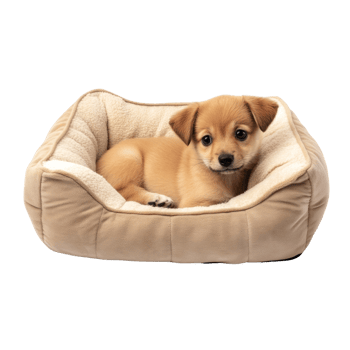 Adorable Puppy Resting Comfortably In Its Soft Beige Bed png