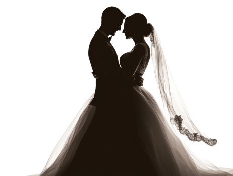 Silhouetted Bride And Groom Embrace Tenderly png
