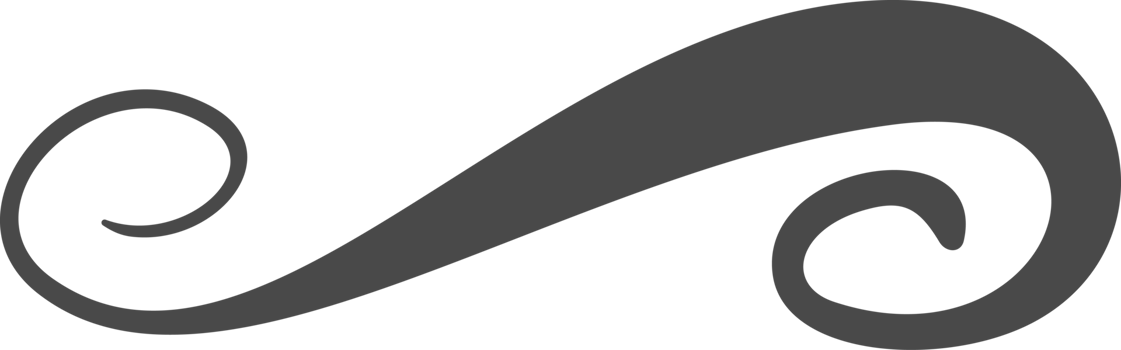 Swoosh line. Hand-drawn swirl underline and squiggle. Doodle brush stroke, calligraphic flourish and curve elegant highlight for graphic design png