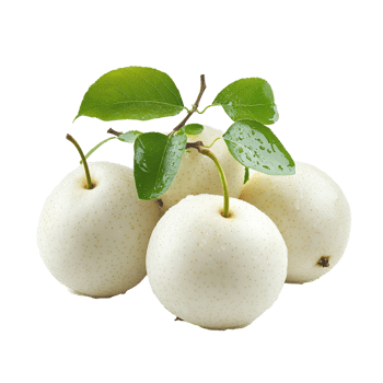 Freshly harvested snow pears with green leaves on a Transparent background, Snow pear isolated on background png