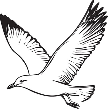 Seagull flying outline black illustration vector