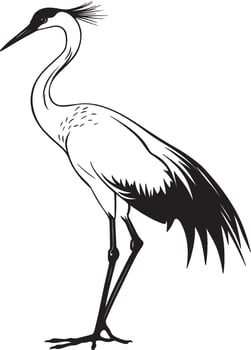 Crane bird outline black illustration vector