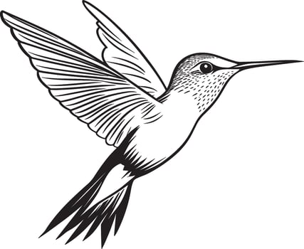 Simple black outline of a flying hummingbird, illustration. vector