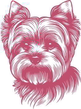 Yorkshire Terrier Dog Head Engraving Illustration Vintage Hand Drawn Sketch vector