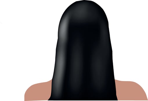 A woman's long black hair is shown vector
