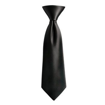Elegant Black Bow Tie Close Up on transparent background. png