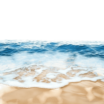 Ocean Sandy Bottom Summer on transparent background. png