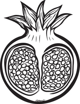 Pomegranate outline black illustration vector